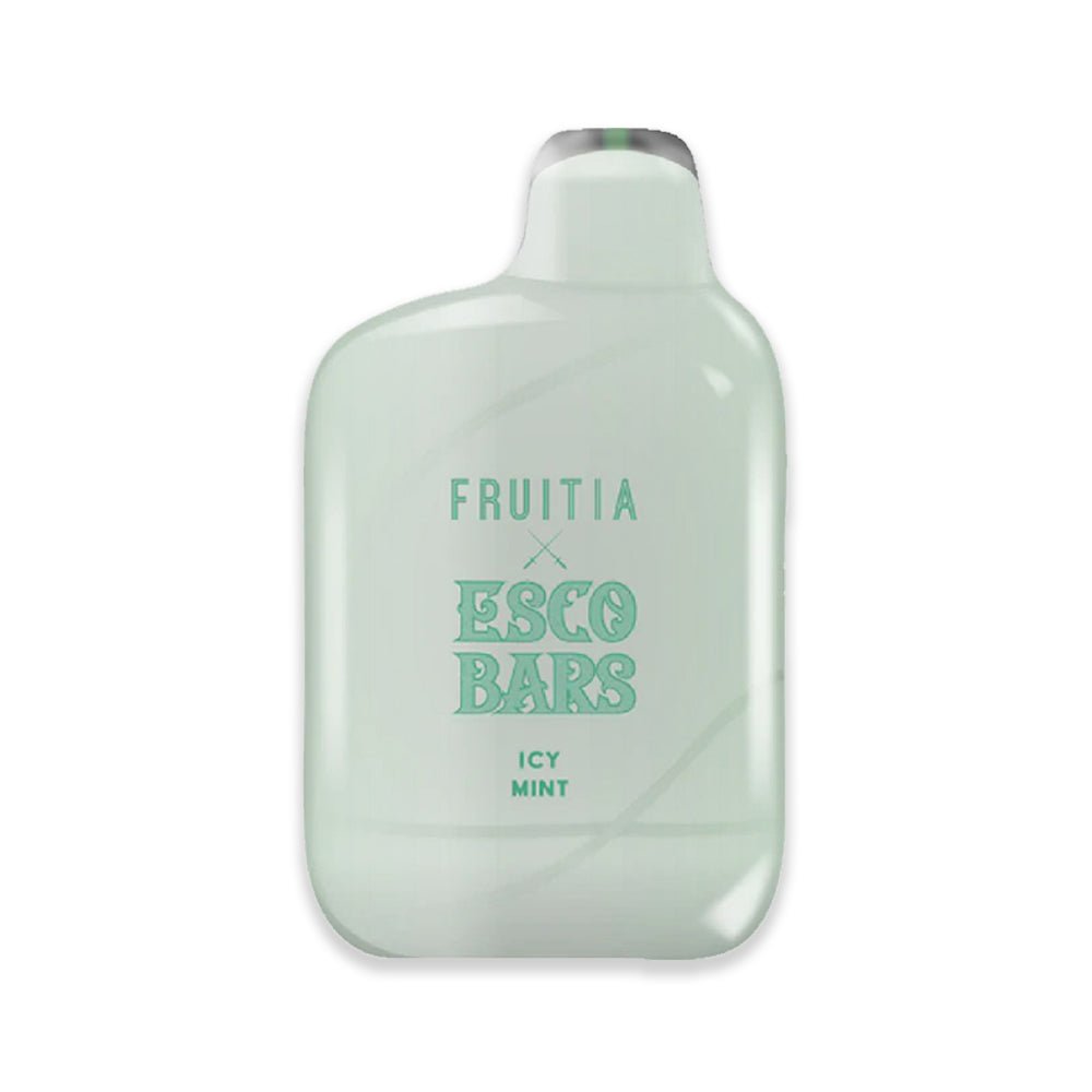 Fruitia X Esco Bars 6000 Rechargeable Disposable 50mg - ICY MINT